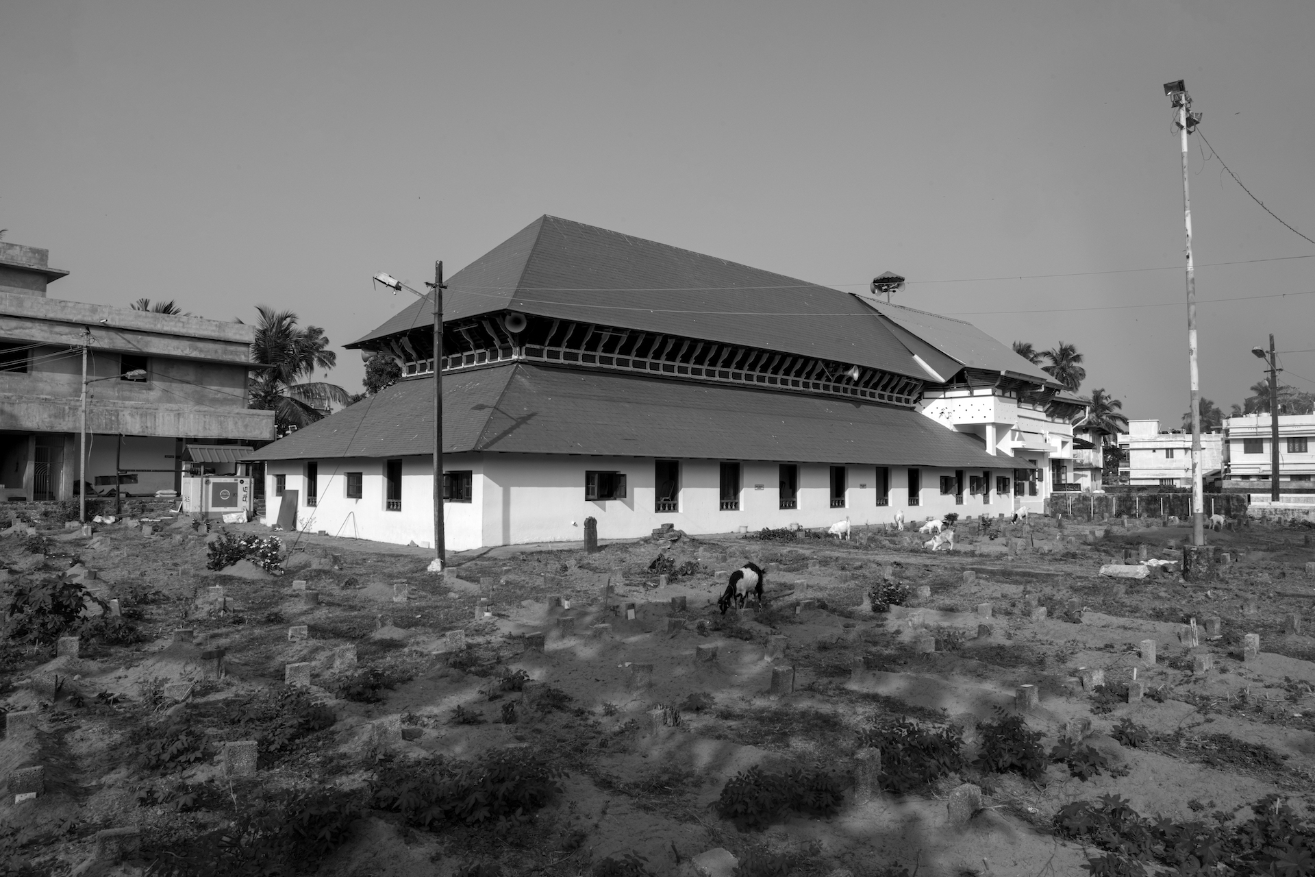 Ernakulam - CHEMBITTA PALLI KOCHANGADI